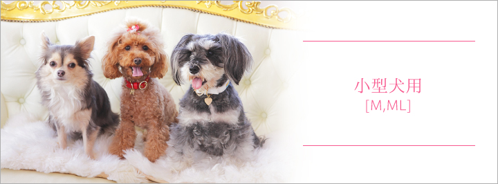 小型犬用[S,M,ML] 犬 リード 首輪 通販