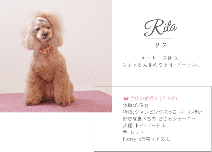 リタ キエリーズ モデル犬 首輪 リード