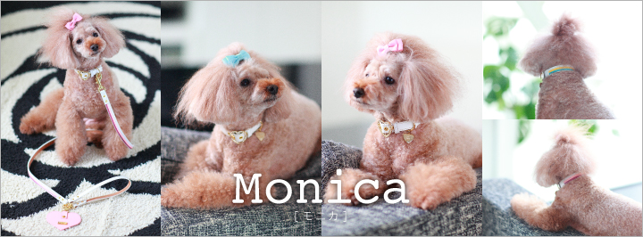 犬 リード 首輪 かわいい monica