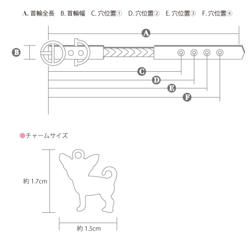 Charlotte　首輪サイズ