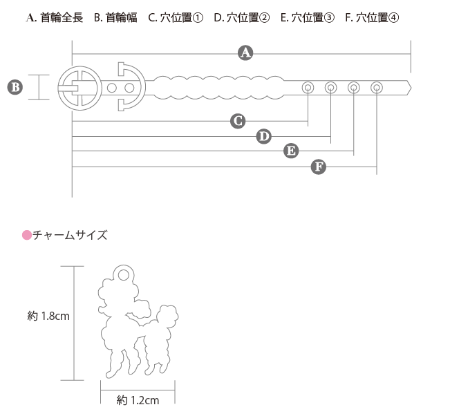 犬 サイズ 首輪