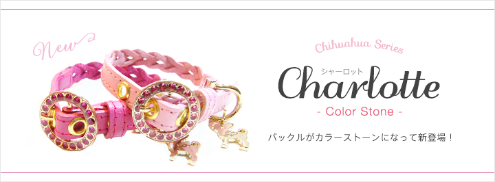 チワワ 犬 リード 首輪 通販 charlotte シャーロット